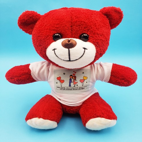  Sevimli Çiftler Tişörtlü Kırmızı Ayı