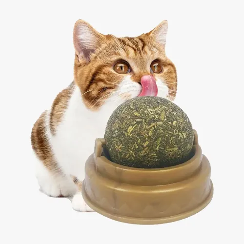 Kedi Nanesi Oyun Topu