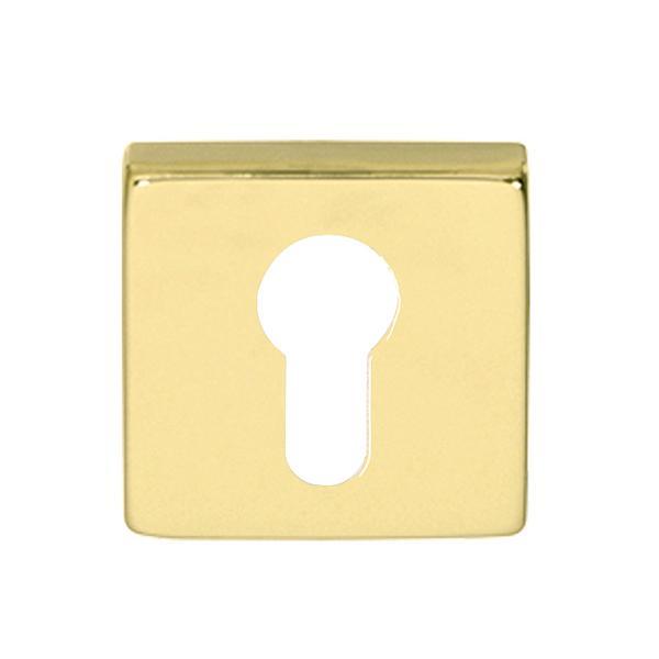 Hafele Kare Barelli Kapı Kolu Rozeti 50mm, Parlak Pirinç Renk