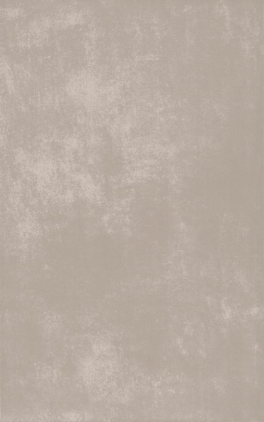 250X400 PASSION TAUPE