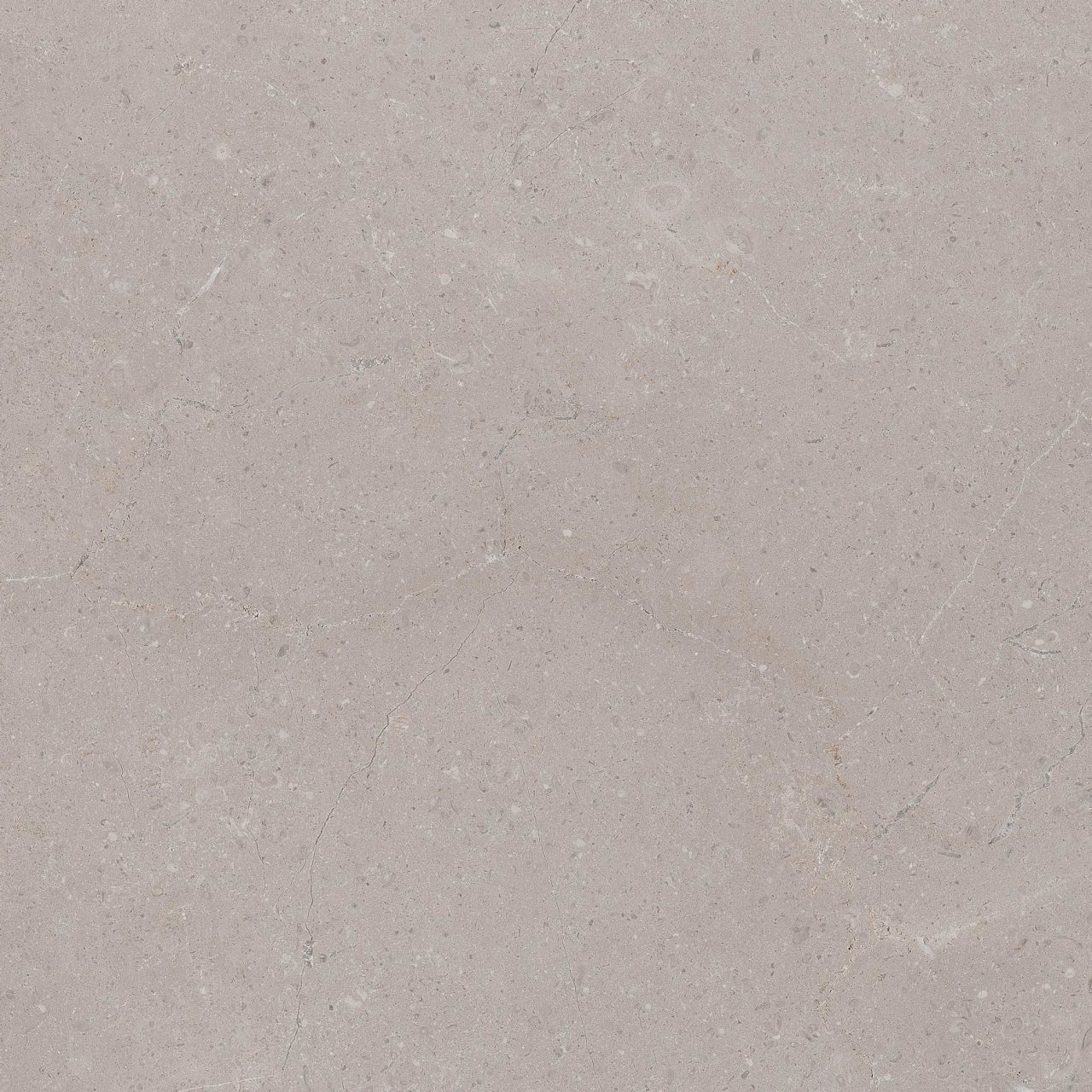 800X800 TIBETSTONE GRI LAPPATO REKTIFIYE