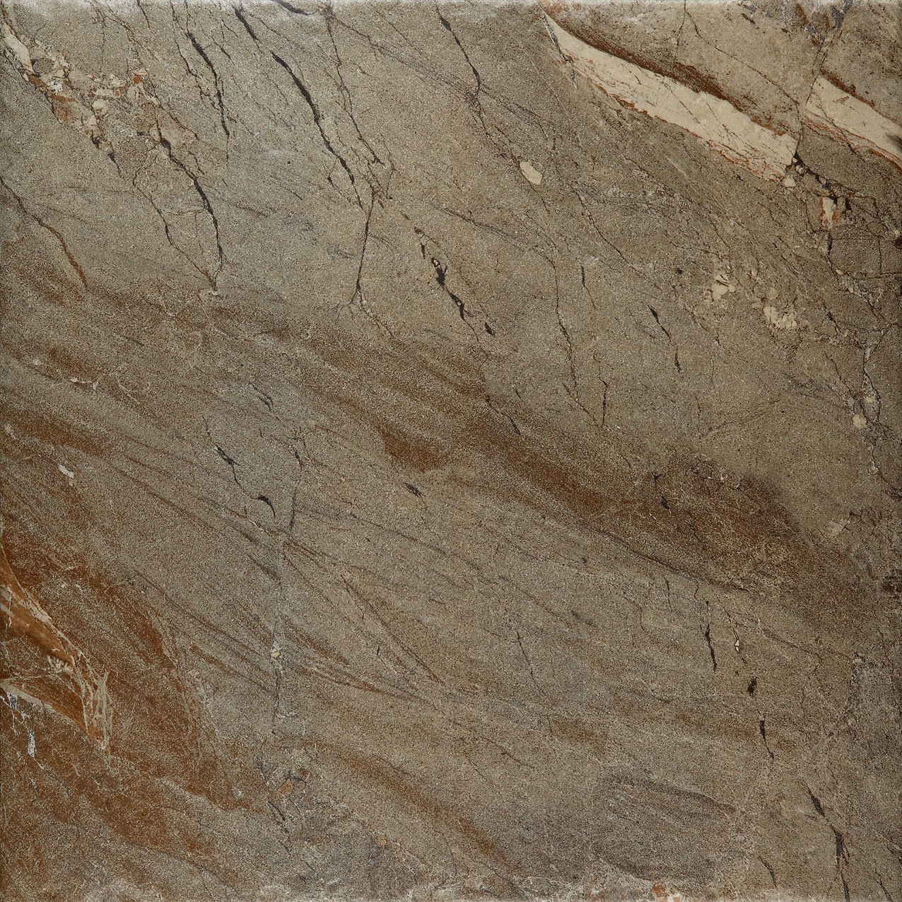 450X450 ESSENCE FOREST K:8