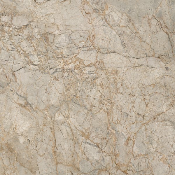 600X600 GRACE OLIVE TAM PARLAK REKTIFIYE