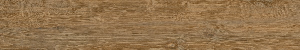 200X1200 RAINFOREST MIX