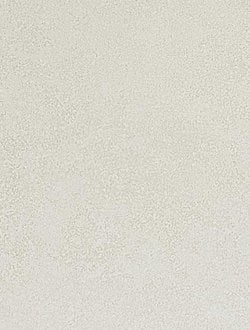 250X330 KELLY FILDISI