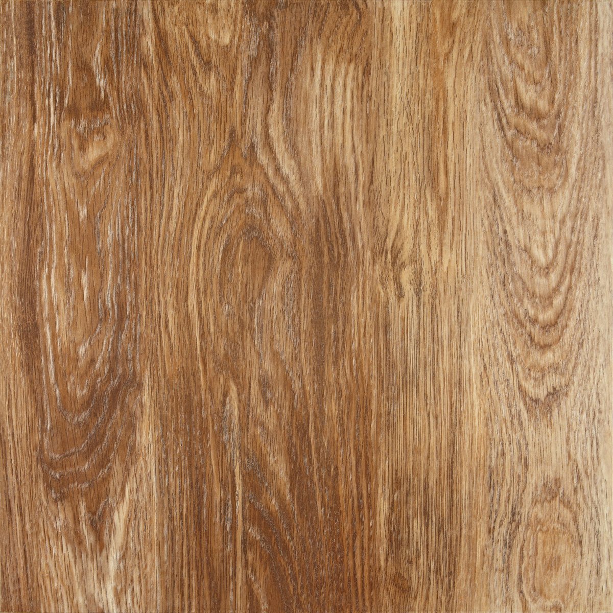 600X600 SANDALWOOD COCONUT REKTIFIYE