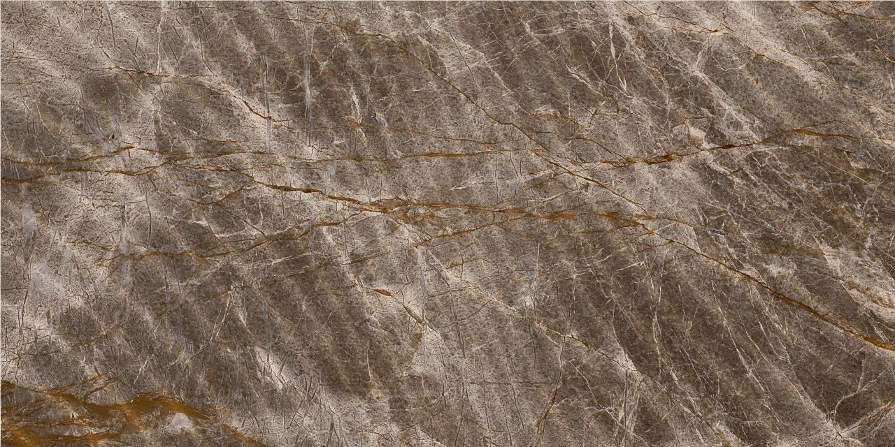 300X600 ARIZONA SHELL KAHVE