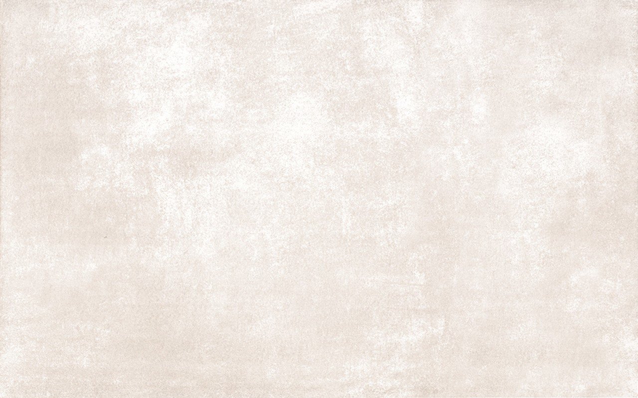 250X400 PASSION FILDISI