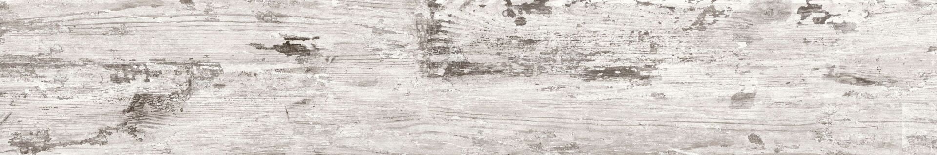 200X1200 WOODSMAN MORNING FROST